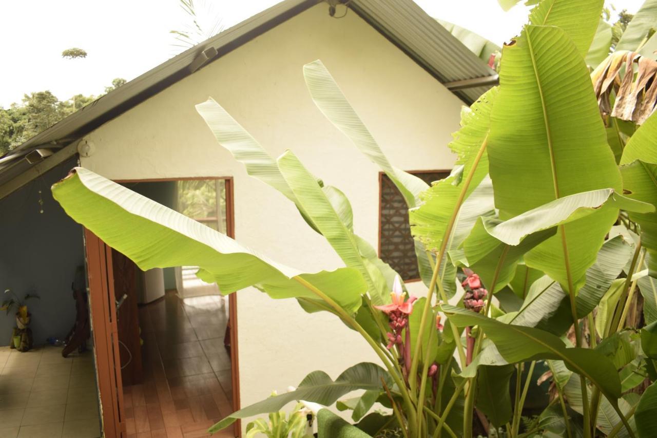 Drakes Bay Casita Tangara Con Balcon Y Agua Caliente 아파트 외부 사진